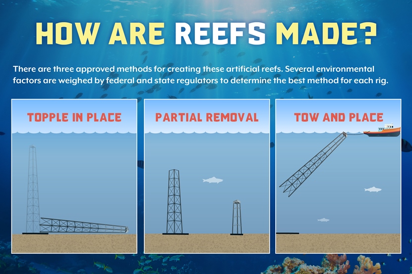 how_reefs_are_made